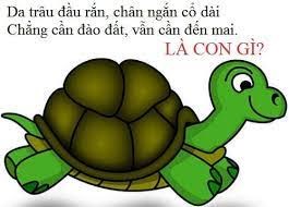 Câu đố vui cho bé