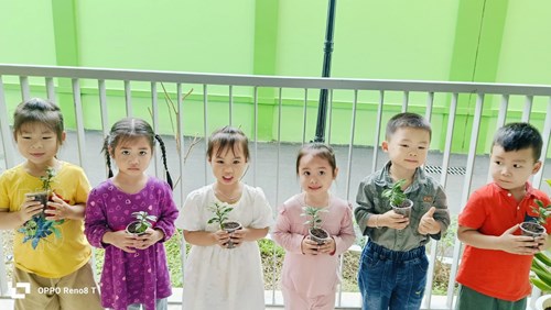 Hoạt động trải nghiệm   trồng cây   của lớp mẫu giáo bé c1