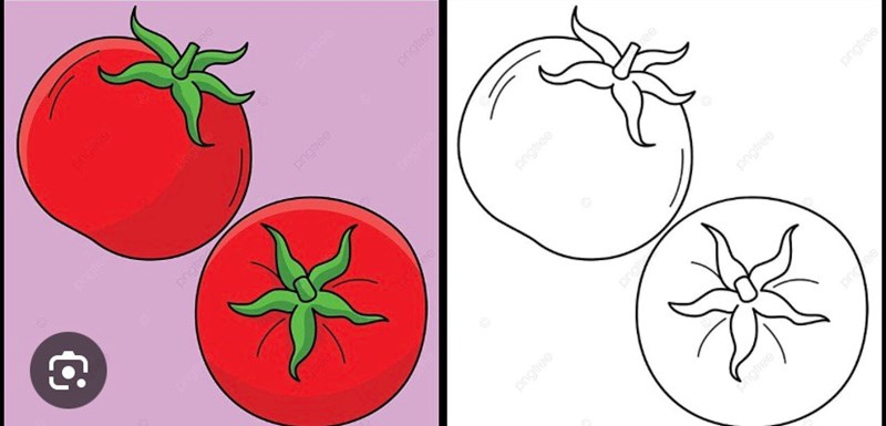 Giáo án điện tử PTTM  Tô màu quả cà chua 