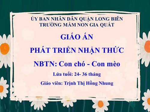PTNT: NBTN: con chó- con mèo. GV: Trịnh Thị Hồng Nhung