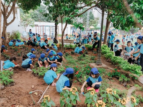 Các bé lớp MGL-A5 tích cực hưởng ứng  Tết trồng cây 