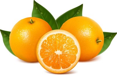 Khám phá quả cam