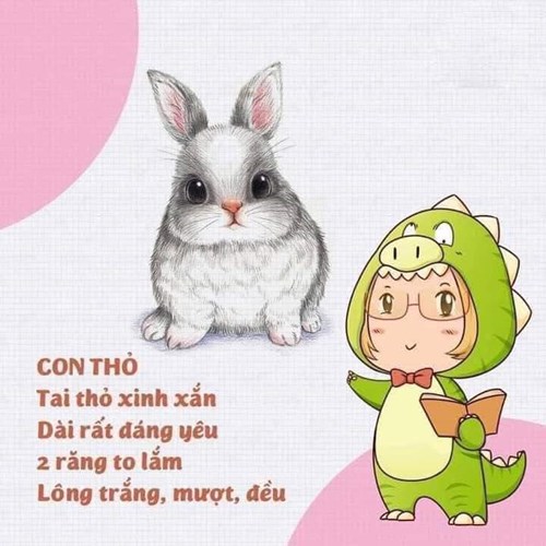 Bài thơ: Con thỏ