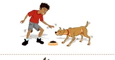 Kĩ năng sống: dạy con cách xử trí khi gặp chó dữ