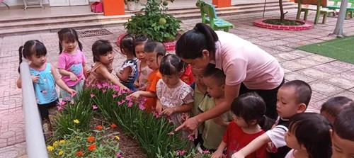 Hãy cùng ra vườn ngắm hoa với các bạn nhỏ lớp mẫu giáo bé C2