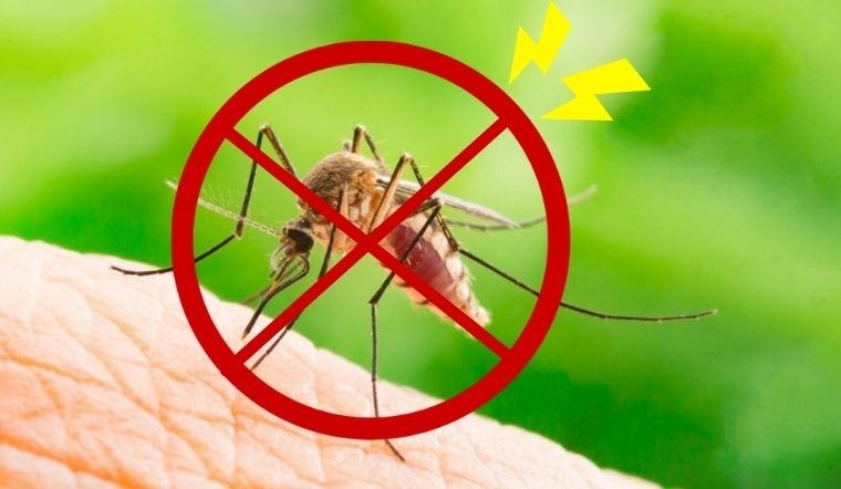Một số biện pháp phòng chống muỗi