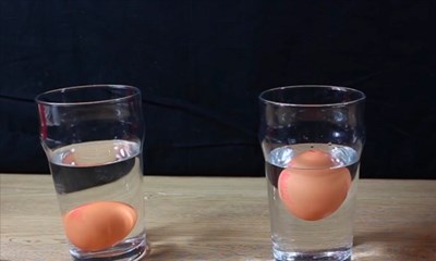 Thí nghiệm : Trứng nổi và trứng chìm