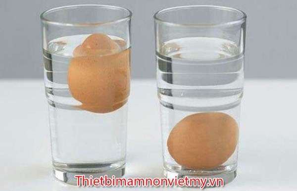 1. Trứng nổi trên mặt nước