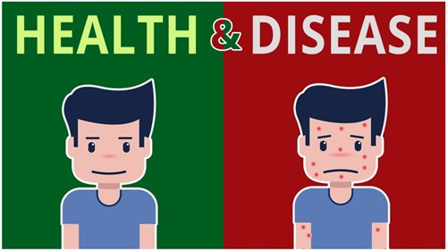 Tuần 19 - Tiếng Anh 5 - Unit 11: What        s the matter with you? - Health and sickness