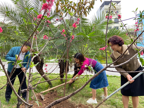 Ban giám hiệu cùng Công đoàn trường Tiểu học Gia Quất tổ chức Tết trồng cây