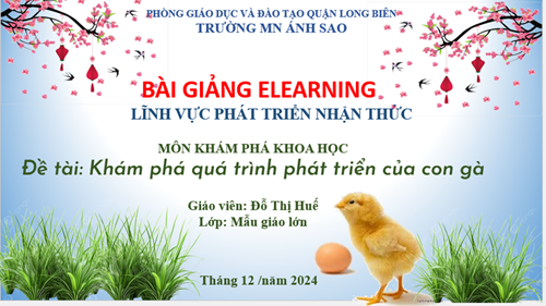 Bài giảng E-learning  Sự phát triển của gà con 