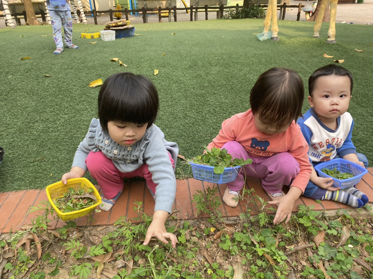 Ảnh các bé lớp nhà trẻ D1 tham gia hoạt động nhặt cỏ ở khu vườn cổ tích