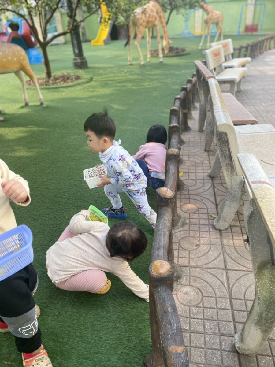 Ảnh các bé lớp nhà trẻ D1 tham gia hoạt động nhặt lá vàng rơi ở khu vườn cổ tích