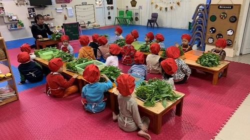 Thực hành trải nghiệm:  Nhặt rau muống  của các bé lớp Nhà Trẻ D3