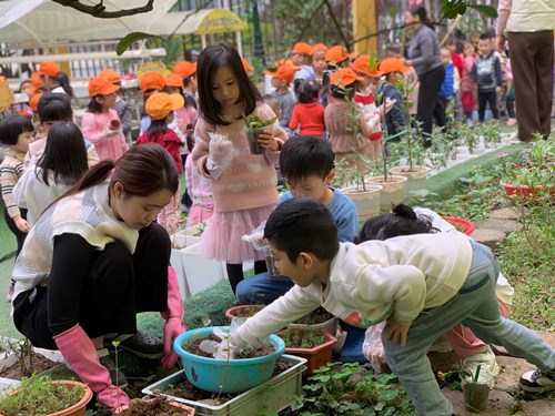 Tết trồng cây của các bé trường Mầm non Đô thị Sài Đồng