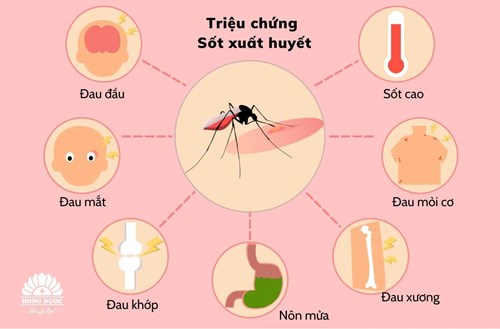 Bài tuyên truyền phòng chống sốt xuất huyết