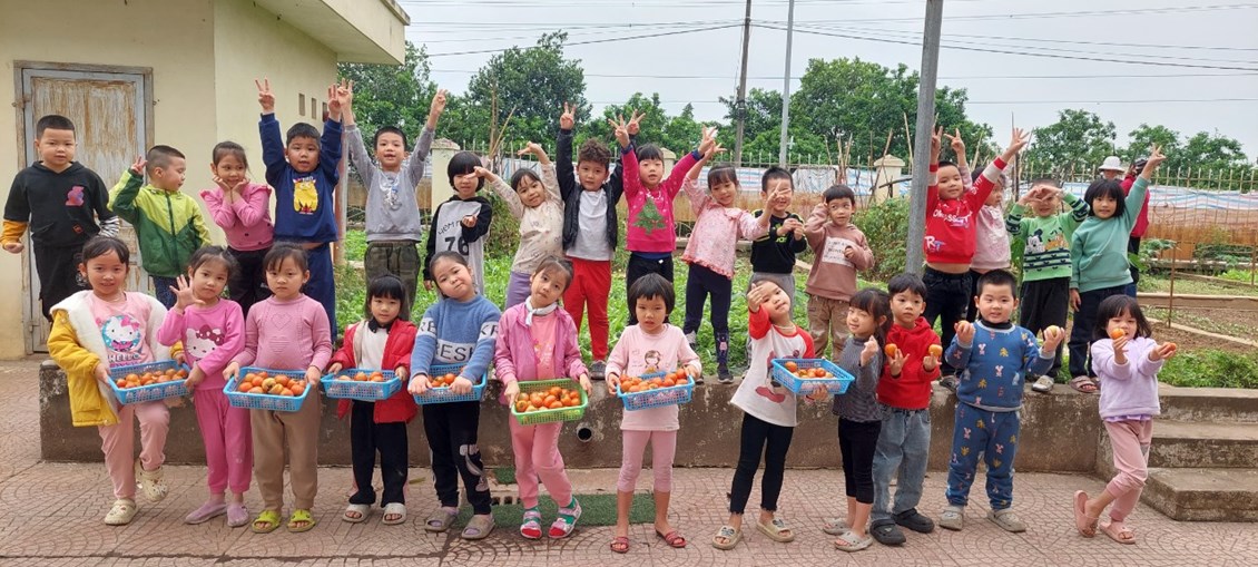Các bé lớp mẫu giáo lớn A3 với hoạt động trải nghiệm  thu hoạch cà chua  tại vườn rau của trường Mầm non Giang Biên 