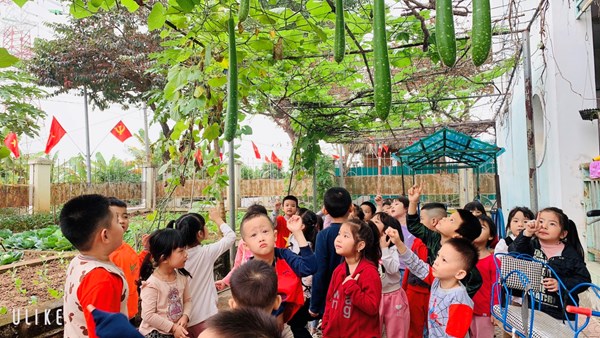 Cùng các bé lớp MGL A4 thăm quan vườn rau trường