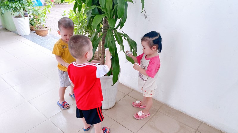 Dạy trẻ kỹ năng lau lá cây