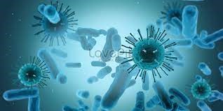 Khám phá vi sinh vật - Vi khuẩn dưới kính hiển vi