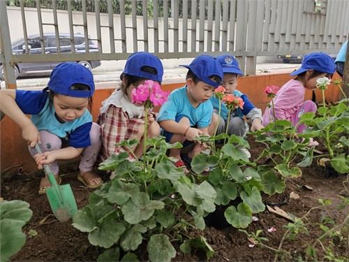 Cùng các bạn nhỏ lớp MGN B2 tham gia  Tết trồng cây 