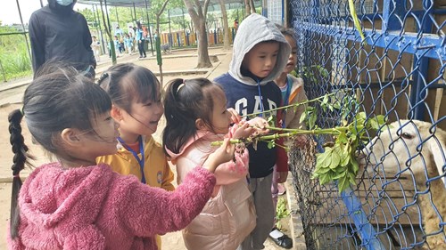 Chuyến tham quan dã ngoại của các bạn nhỏ lớp Bunny tại khu sinh thái giáo dục V-Eco !