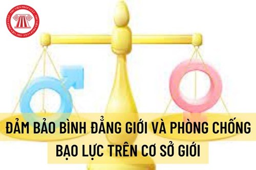 Bạo lực trên cơ sở giới trong pháp luật Việt Nam và một số khuyến nghị