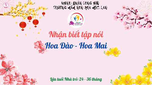 NBTN: Hoa Đào - Hoa Mai