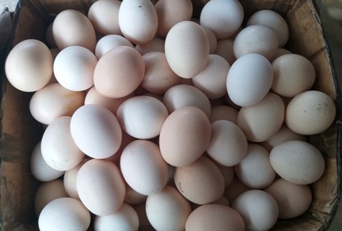Ăn trứng thế nào để tốt cho sức khỏe