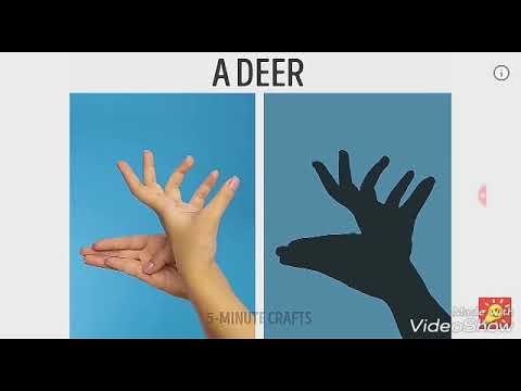 Tạo hình con vật bằng bàn tay gợi trí tưởng tượng