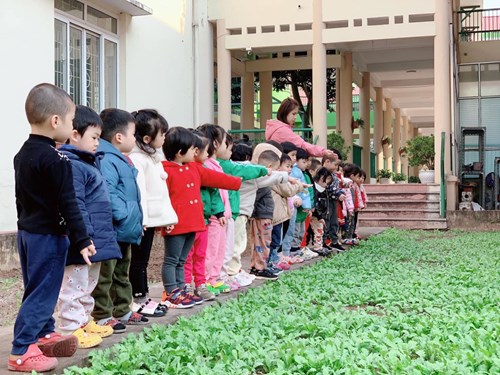Các bé lớp MGB C3 tham quan vườn rau