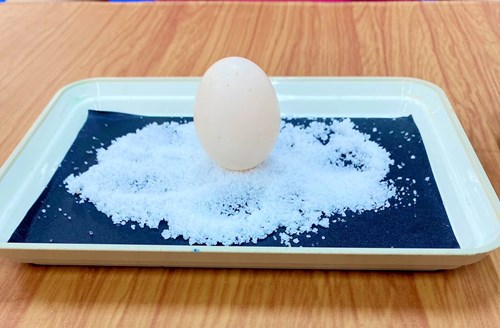 Thí nghiệm  Trứng đứng thẳng trên mặt bàn 