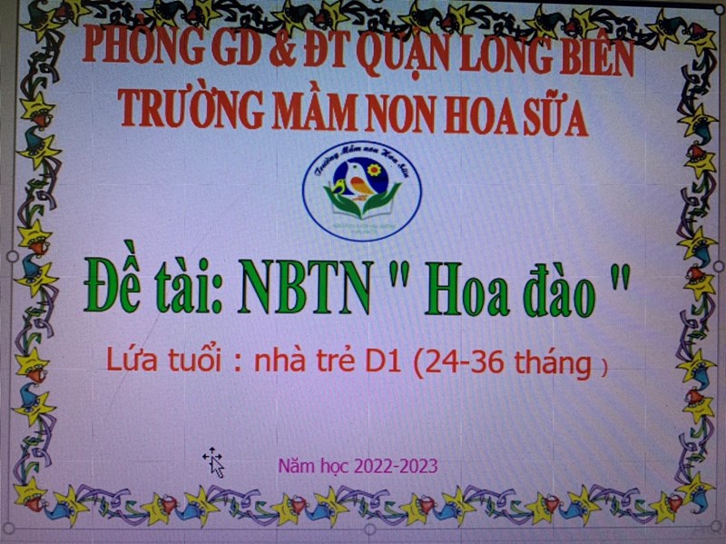 NBTN Hoa Đào 