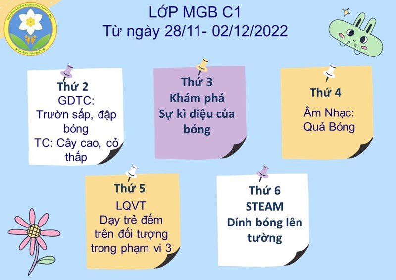 Chương trình học tuần 5 tháng 11 của các bé lớp MGB C1