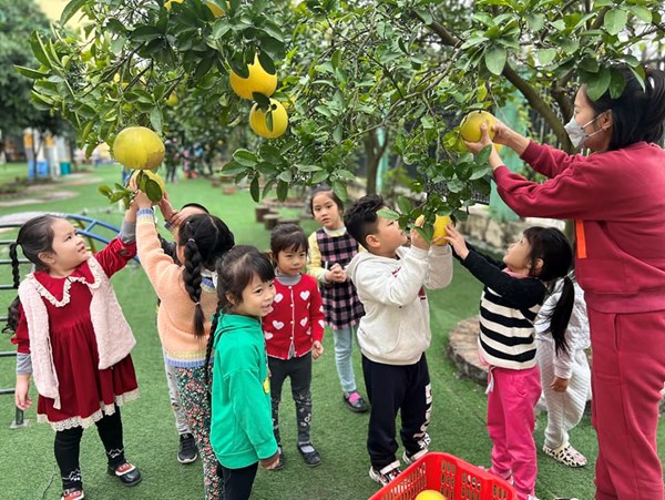 Khuôn viên trường MN Hoa Thủy Tiên rộng rãi, nhà trường đã tạo ra nhiều khu để trồng cây xanh, cây ăn quả, vườn rau giúp cho ngôi trường xanh, đẹp hơn từng ngày.