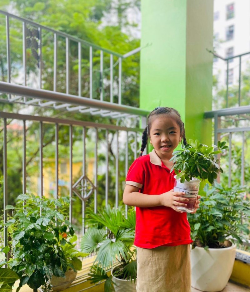 Phong trào xây dựng một môi trường “Xanh- sạch- đẹp, gần gũi và thân thiện” trong trường mầm non Hoa Trạng Nguyên