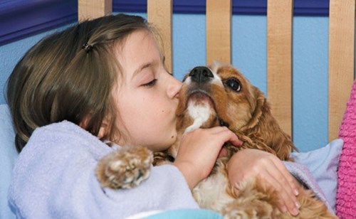  10 lý do trẻ nên có một con vật nuôi trong nhà
