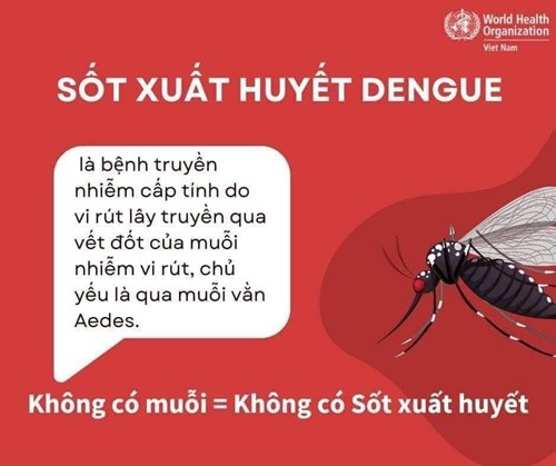 Các biện pháp phòng ngừa muỗi đốt