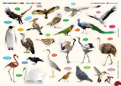 Đồng Dao: Các Loài Chim