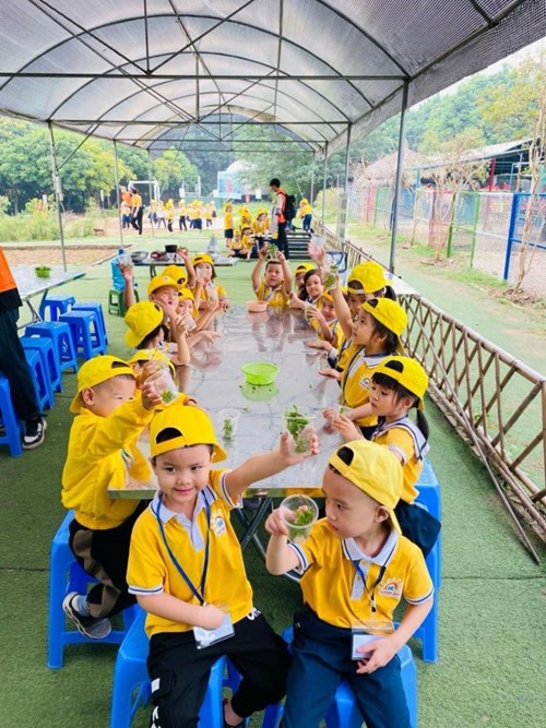 Trường mầm non Nắng Mai tổ chức cho trẻ đi tham quan dã ngoại tại trang trại giáo dục Erahouse