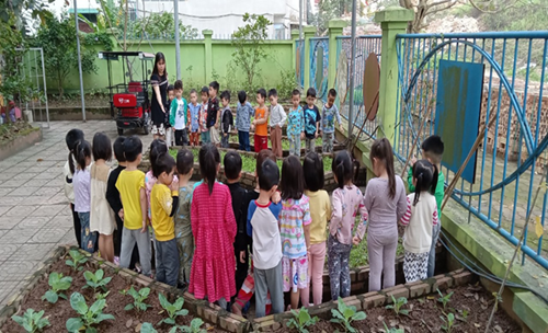 Chăm sóc vườn rau sạch cho trẻ trong trường mầm non