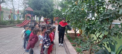 Hoạt động trải nghiệm “Chăm sóc vườn hoa” của cô và các bạn nhỏ Trường mầm non Phúc Lợi  