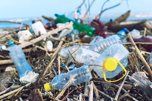 Tác hại khôn lường của rác thải nhựa đối với môi trường và cuộc sống