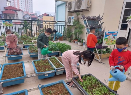 Hoạt động lao động tập thể “Chăm sóc vườn rau, cây cảnh trong trường” - Lớp Mẫu giáo lớn A3