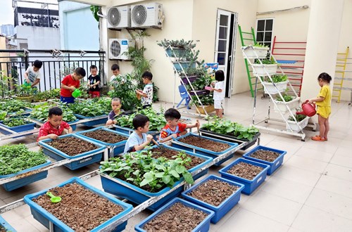 Hoạt động lao động tập thể “Chăm sóc vườn rau” - Lớp mẫu giáo bé C1