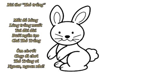 Bài thơ: Thỏ trắng