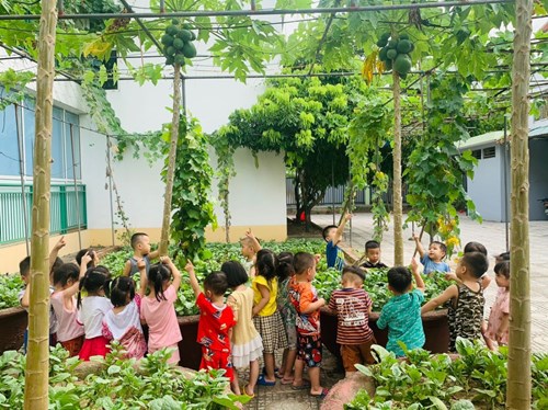 Giáo dục bảo vệ môi trường cho trẻ tại trường mầm non Thạch Bàn