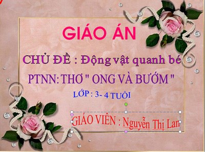 PTNN: Thơ   Ong và bướm . Lứa tuổi: MGB. GV: Nguyễn Thị Lan
