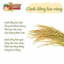 Bài thơ Cánh đồng lúa vàng