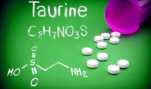 Taurine là gì? Lợi ích và cách sử dụng Taurine tốt nhất cho sức khoẻ